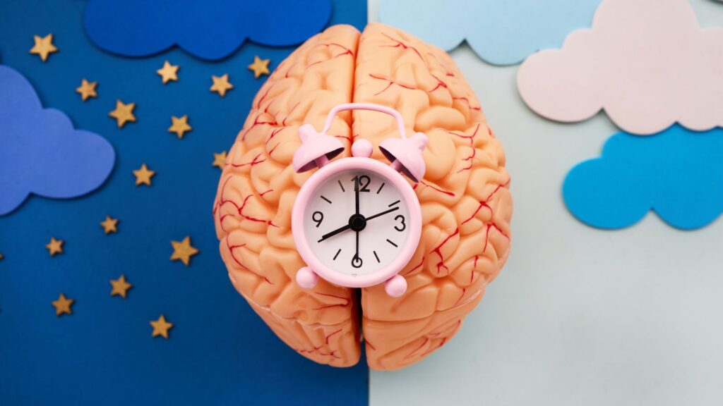 Mózg z różowym zegarkiem na tle planszy obrazujących dzień i noc - rytm dnia.